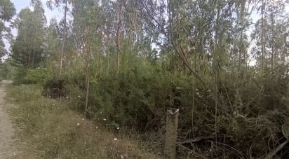 Terrain à Nogueira, Meixedo e Vilar de Murteda de 6 377 m²