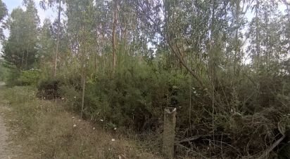 Land in Nogueira, Meixedo e Vilar de Murteda of 6,377 m²