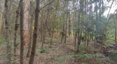 Terrain à Lavradas de 9 990 m²