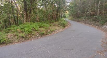 Terrain à Lavradas de 9 990 m²