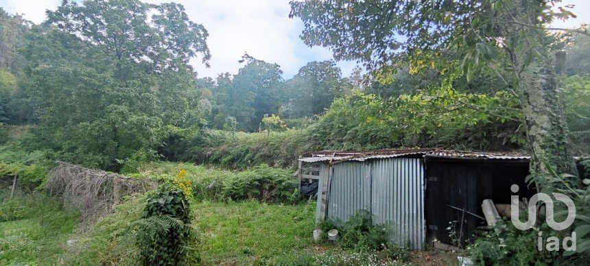 Terreno em Lavradas de 7 070 m²