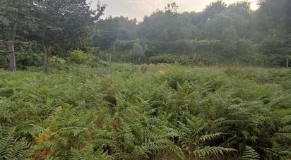 Terrain à Lavradas de 7 070 m²