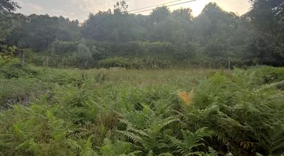 Terrain à Lavradas de 7 070 m²