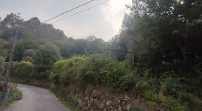 Terrain à Lavradas de 7 070 m²