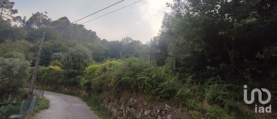 Terreno em Lavradas de 7 070 m²