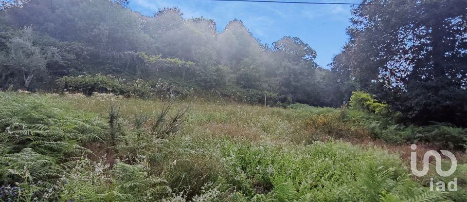 Terreno em Lavradas de 7 070 m²