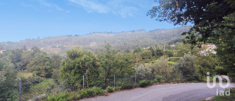 Terreno em Lavradas de 7 070 m²