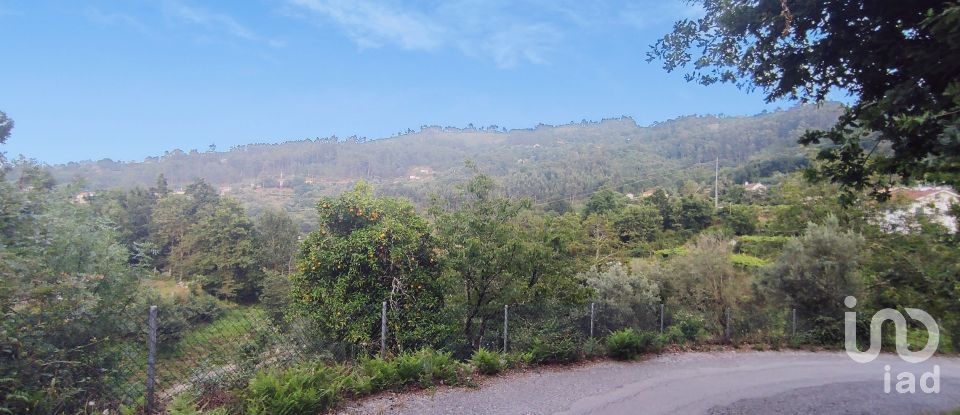 Terreno em Lavradas de 7 070 m²