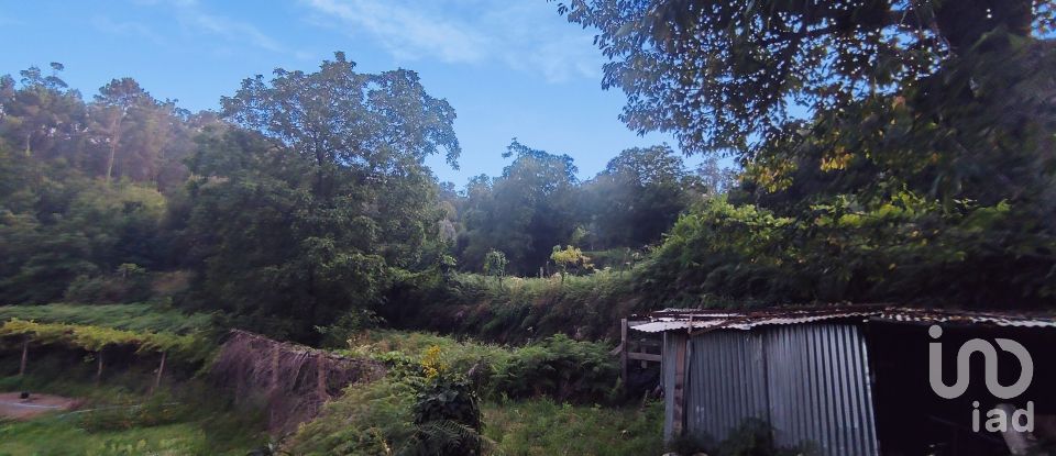 Terreno em Lavradas de 7 070 m²