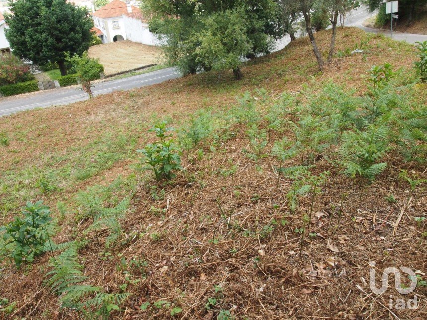 Terrain à Lousã e Vilarinho de 840 m²