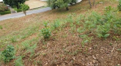Terrain à Lousã e Vilarinho de 840 m²