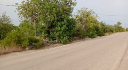 Land in Moncarapacho e Fuseta of 4,400 m²