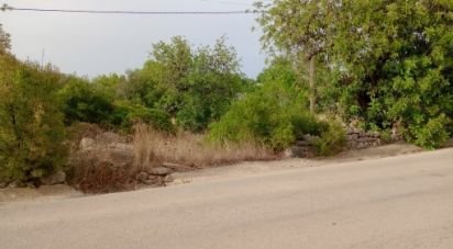 Land in Moncarapacho e Fuseta of 4,400 m²