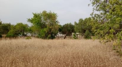 Land in Moncarapacho e Fuseta of 4,400 m²