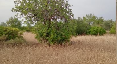 Land in Moncarapacho e Fuseta of 4,400 m²