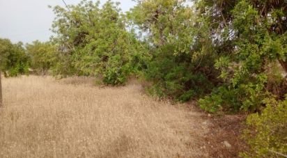 Land in Moncarapacho e Fuseta of 4,400 m²