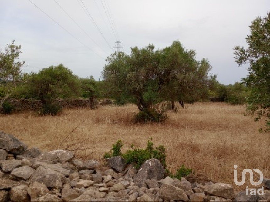 Terreno em Conceição e Estoi de 2 410 m²