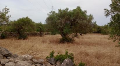 Terrain à Conceição e Estoi de 2 410 m²