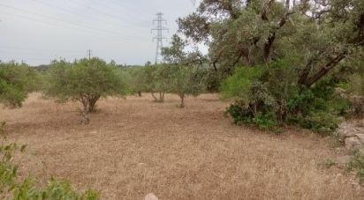 Terrain à Conceição e Estoi de 2 410 m²