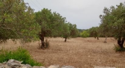 Terrain à Conceição e Estoi de 2 410 m²