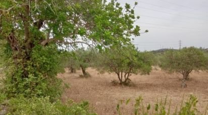 Terrain à Conceição e Estoi de 2 410 m²