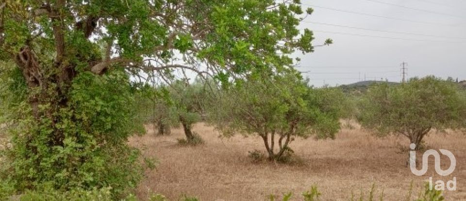 Terreno em Conceição e Estoi de 2 410 m²