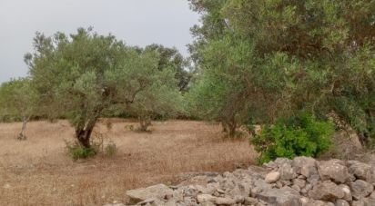 Terrain à Conceição e Estoi de 2 410 m²