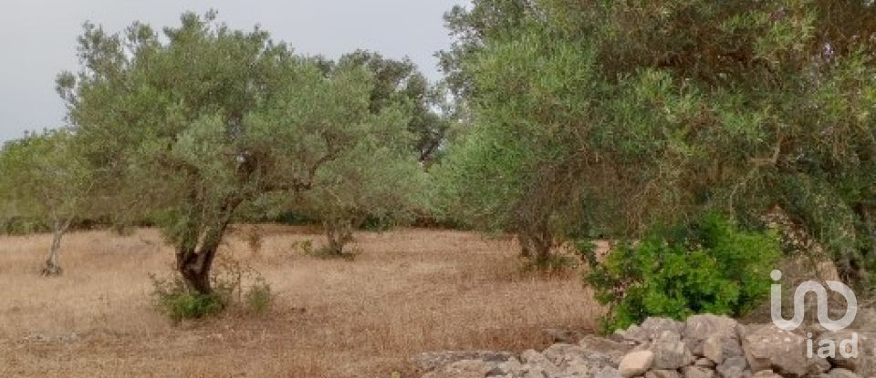 Terreno em Conceição e Estoi de 2 410 m²
