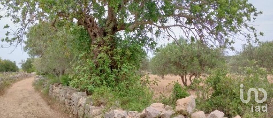 Terreno em Conceição e Estoi de 2 410 m²