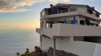 Domaine T4 à Fajã da Ovelha de 2 256 m²