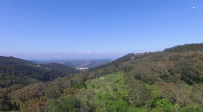 Land in Monchique of 6,120 m²