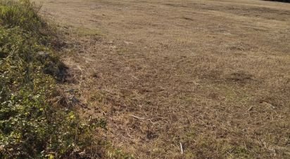 Terrain à São Domingos de Rana de 2 728 m²