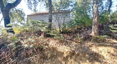 Maison rustique T0 à Pedrógão Grande de 91 m²