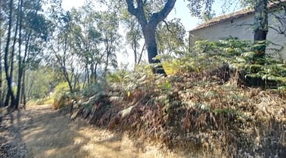 Maison rustique T0 à Pedrógão Grande de 91 m²