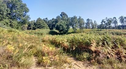 Maison rustique T0 à Pedrógão Grande de 91 m²