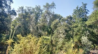 Maison rustique T0 à Pedrógão Grande de 91 m²