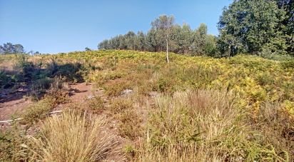 Maison rustique T0 à Pedrógão Grande de 91 m²