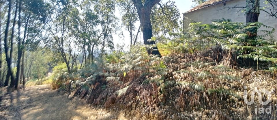 Maison rustique T0 à Pedrógão Grande de 91 m²