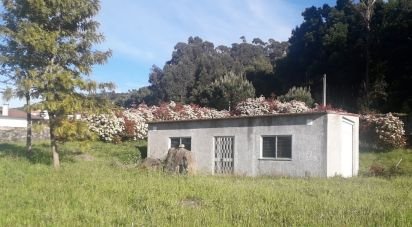 Terreno em Geraz Do Lima (Santa Maria, Santa Leocádia E Moreira) E Deão de 2 121 m²