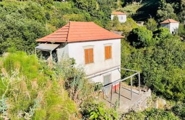House T2 in Ribeira Brava of 25 m²