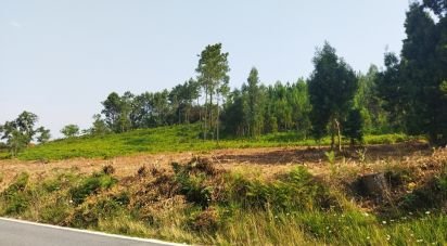 Terreno para construção em Riba de Âncora de 938 m²