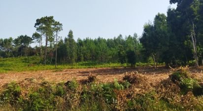 Terreno para construção em Riba de Âncora de 938 m²