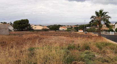 Terrain à Porto Santo de 485 m²