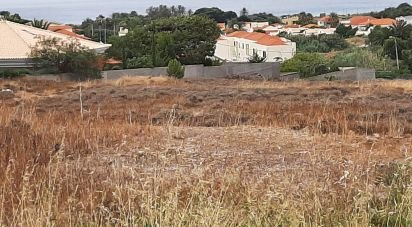 Terrain à Porto Santo de 485 m²