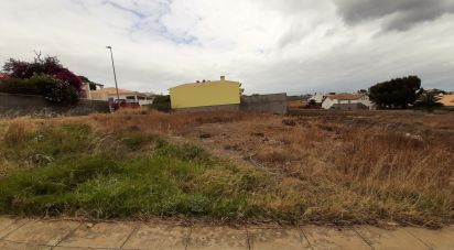 Terreno em Porto Santo de 485 m²