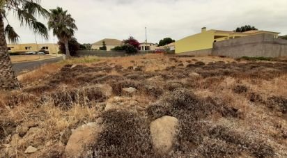 Terrain à Porto Santo de 485 m²