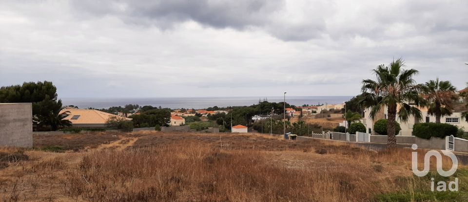 Terrain à Porto Santo de 485 m²