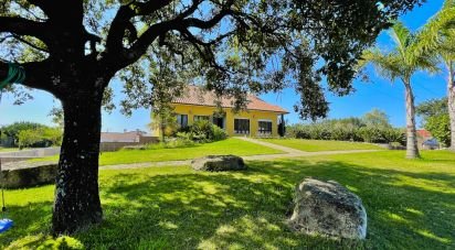 Bâtiment à Monte Redondo e Carreira de 320 m²