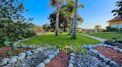 Bâtiment à Monte Redondo e Carreira de 320 m²