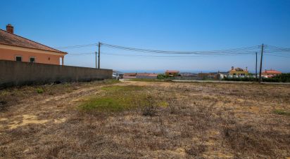Terreno para construção em Lourinhã e Atalaia de 2 850 m²